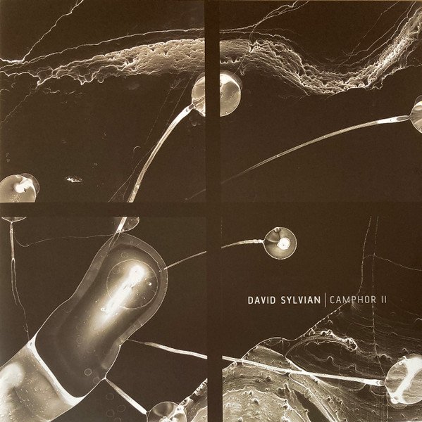 David Sylvian - Camphor II (2xLP, RSD, Comp, RE, Whi)