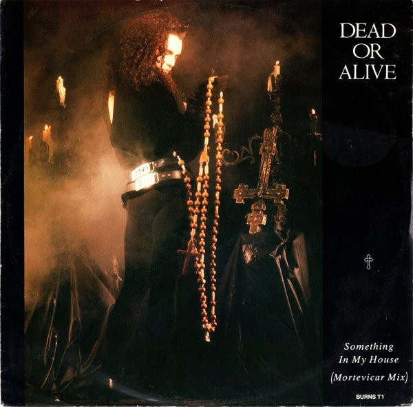 Dead Or Alive - Something In My House (Mortevicar Mix) (12", Single)