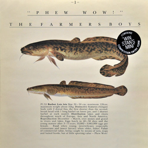 The Farmers Boys* - Phew Wow ! (12", Single)