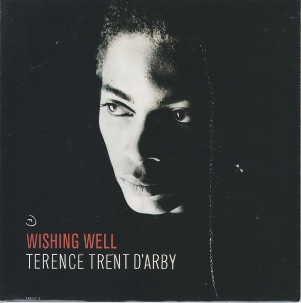 Terence Trent D'Arby - Wishing Well (7", Single)