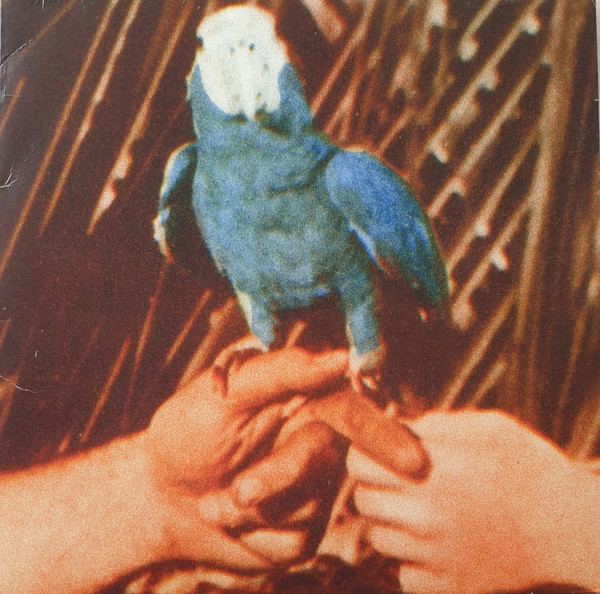 Andrew Bird - Are You Serious (LP, Album)