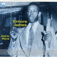 Elmore James - Got To Move (LP, Comp)