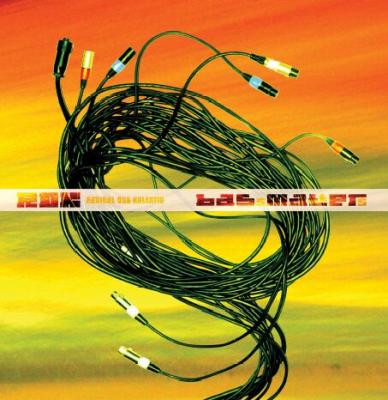 Radikal Dub Kolektiv - Bass Matters (LP, Album)