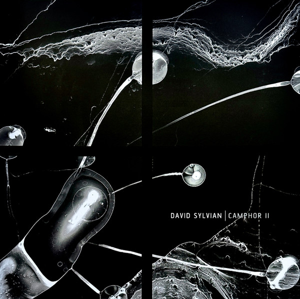 David Sylvian - Camphor II (2xLP, RSD, Comp, RE, Whi)