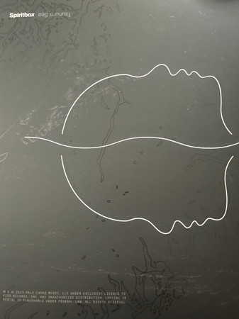 Spiritbox - Tsunami Sea (LP, Album)