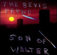 The Bevis Frond - Son Of Walter (CD, Album)
