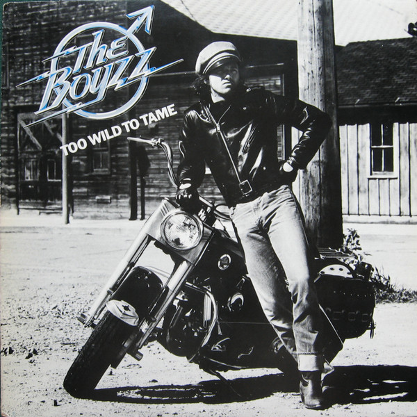 The Boyzz - Too Wild To Tame (LP, Album)