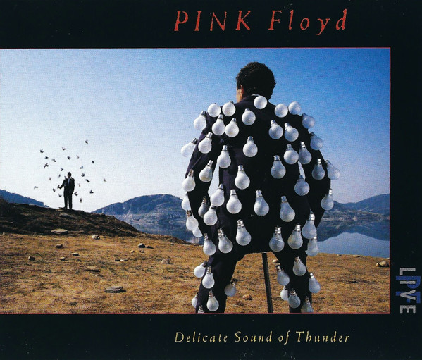 Pink Floyd - Delicate Sound Of Thunder (2xCD, Album, RE, IMS)